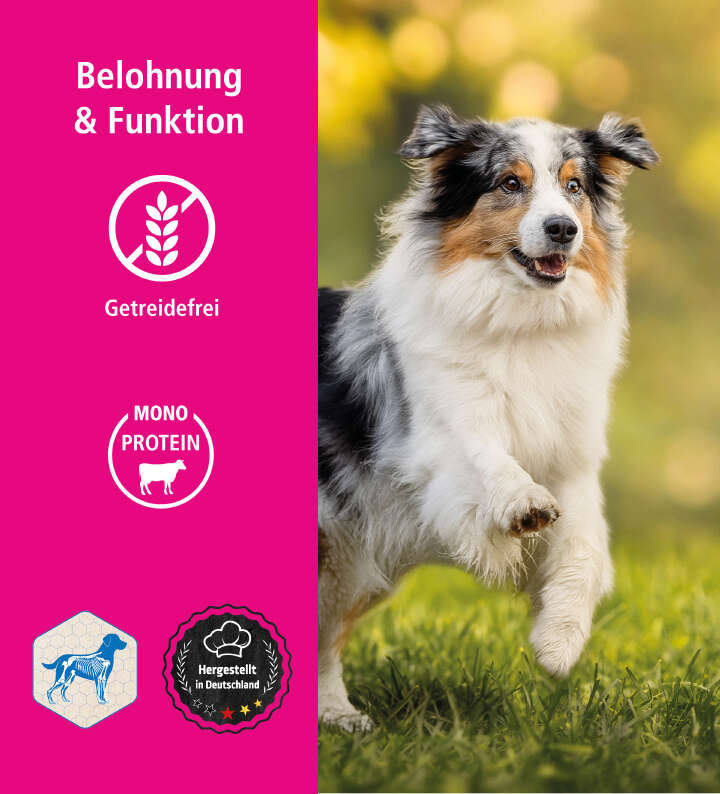 Höveler DOG MOBILITY.SNAXX